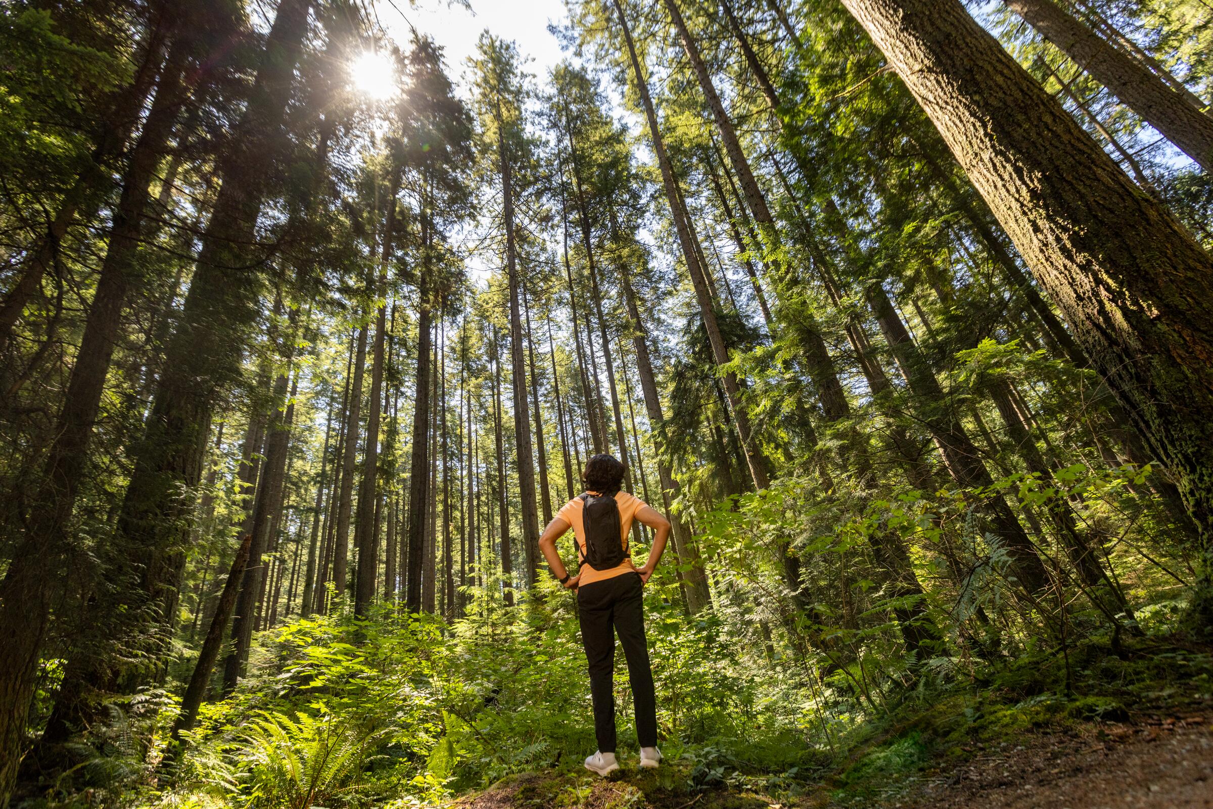Pacific Spirit Park